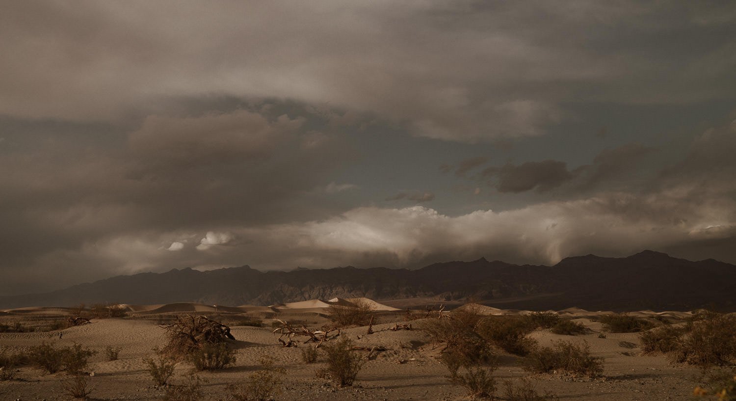 Moody desert elopement in the sand dunes. Cloud cover makes the mountains look purple in the distance