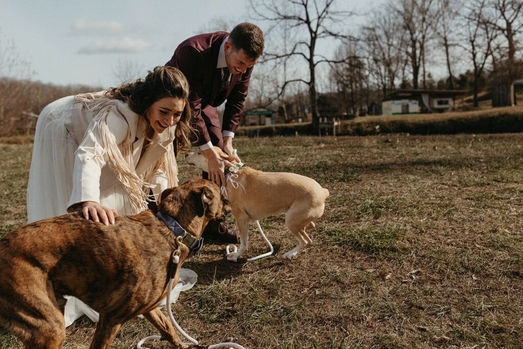 bride and groom petting their pups before their Missouri elopement ceremony